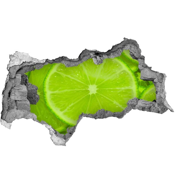Decorazione da parete buco nel muro Lime succoso nel cemento