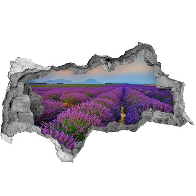 Adesivo con vista dietro il muro Campi di lavanda al sole