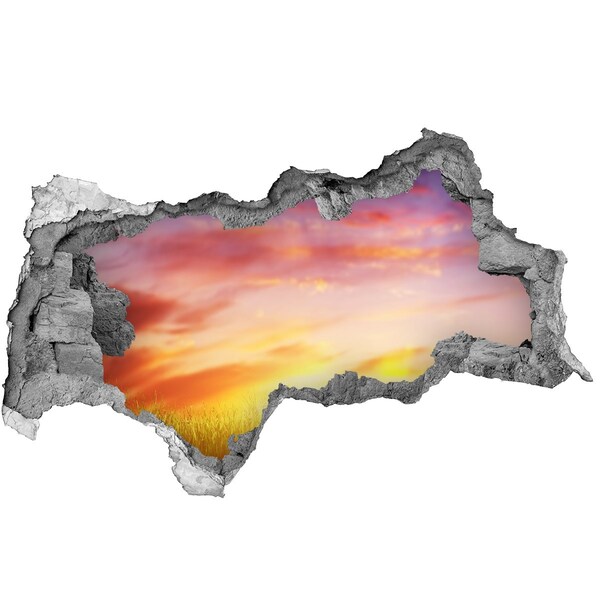 Adesivo con vista dietro il muro Tramonto sul prato