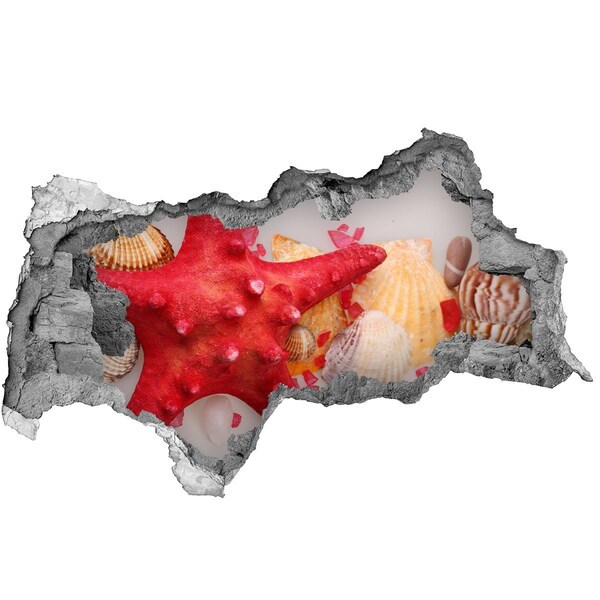 Decorazione da parete buco nel muro Mondo sottomarino con conchiglie