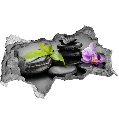 Decorazione da parete buco nel muro Una vista rilassante con pietre e piante