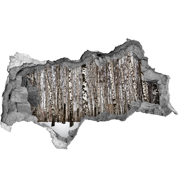 Adesivo con vista dietro il muro Foresta di betulle invernali