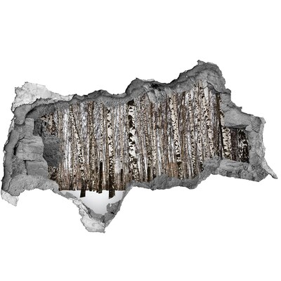 Adesivo con vista dietro il muro Foresta di betulle invernali