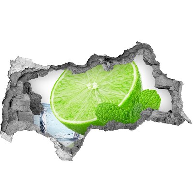 Decorazione da parete buco nel muro Lime fresco con menta