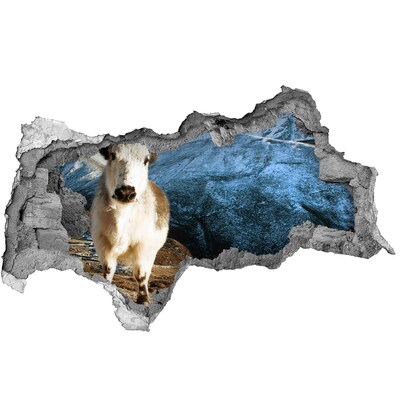 Adesivo con vista dietro il muro Bufalo di montagna in una tana nel muro