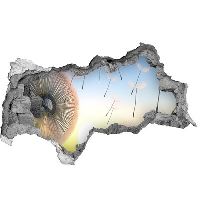 Adesivo con vista dietro il muro Denti di leone sullo sfondo del tramonto