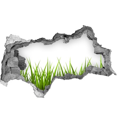 Decorazione da parete buco nel muro Un prato verde dietro il muro