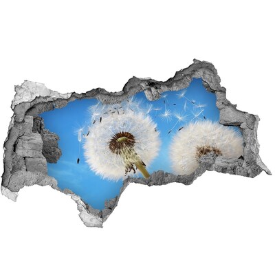 Decorazione da parete buco nel muro Denti di leone nel cielo azzurro