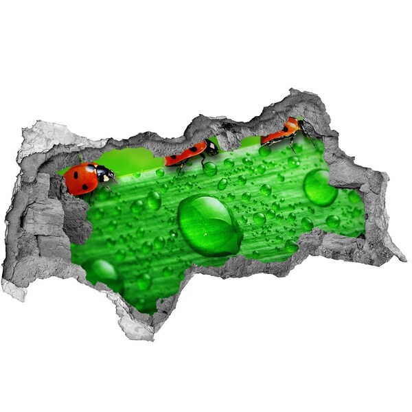 Sticker effetto rottura muro Una goccia di rugiada su una foglia