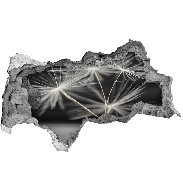 Decorazione da parete buco nel muro Fiori di tarassaco nel cemento