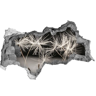 Adesivo con vista dietro il muro Sogno di tarassaco