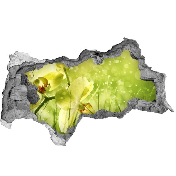 Decorazione da parete buco nel muro Un'oasi floreale immersa nel verde