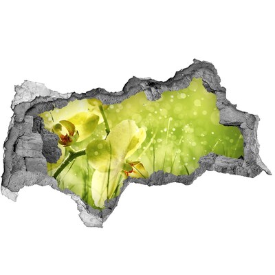 Decorazione da parete buco nel muro Un'oasi floreale immersa nel verde