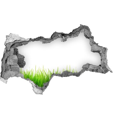 Decorazione da parete buco nel muro Un prato verde dietro il muro