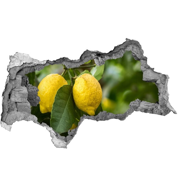 Adesivo con vista dietro il muro Limoneto dietro il muro