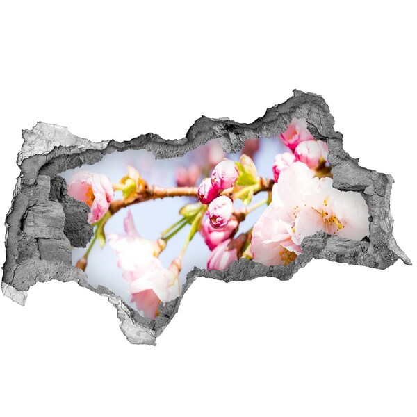 Adesivo con vista dietro il muro Fiori di ciliegio in primavera