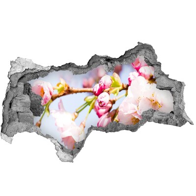 Adesivo con vista dietro il muro Fiori di ciliegio in primavera