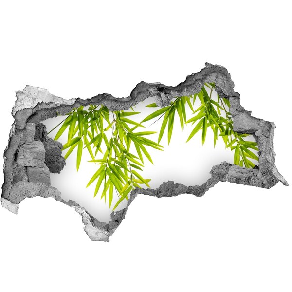 Adesivo con vista dietro il muro Bambù verde che spunta da un buco nel muro