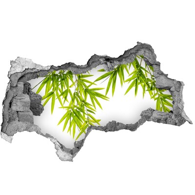 Adesivo con vista dietro il muro Bambù verde che spunta da un buco nel muro