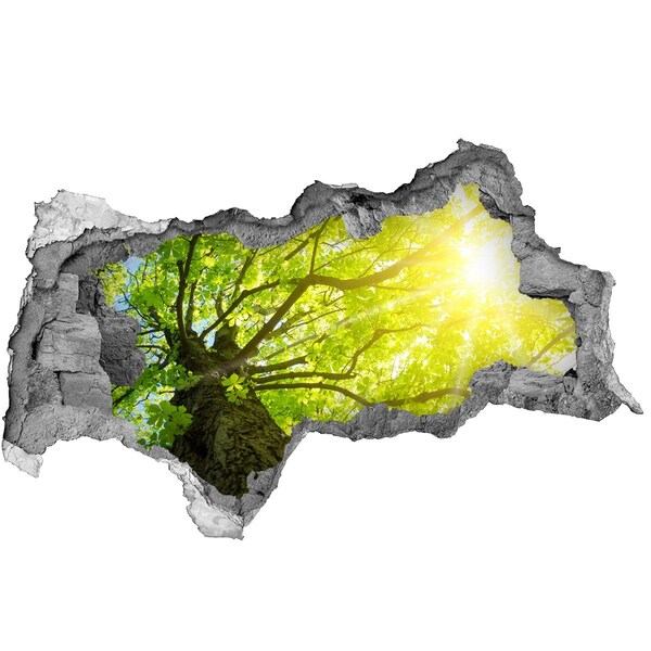 Sticker effetto rottura muro Foresta verdeggiante ai raggi del sole