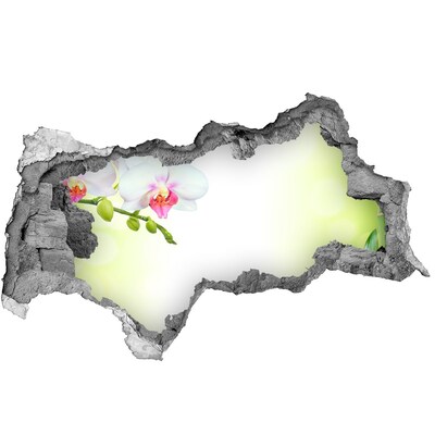 Decorazione da parete buco nel muro Orchidee in fiore nel giardino di bambù