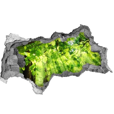 Adesivo con vista dietro il muro Foresta verdeggiante ai raggi del sole