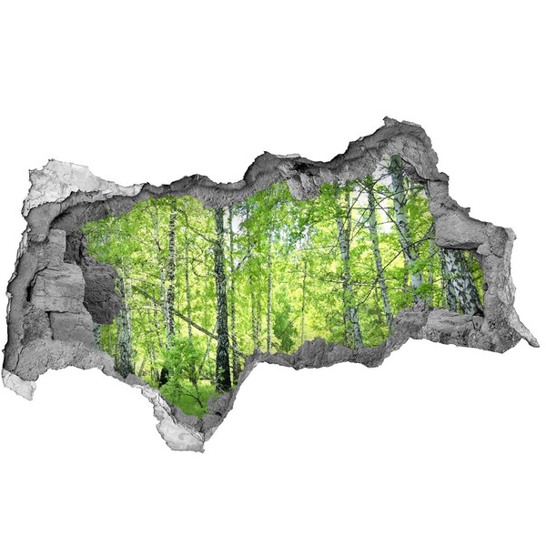 Decorazione da parete buco nel muro Foresta verdeggiante illuminata dal sole