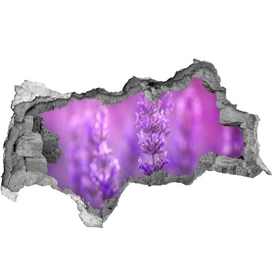 Adesivo con vista dietro il muro Fiori di lavanda nella luce del mattino