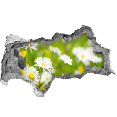 Sticker effetto rottura muro Un paradiso floreale dietro le mura