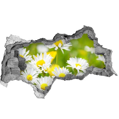 Decorazione da parete buco nel muro Fiori nel prato