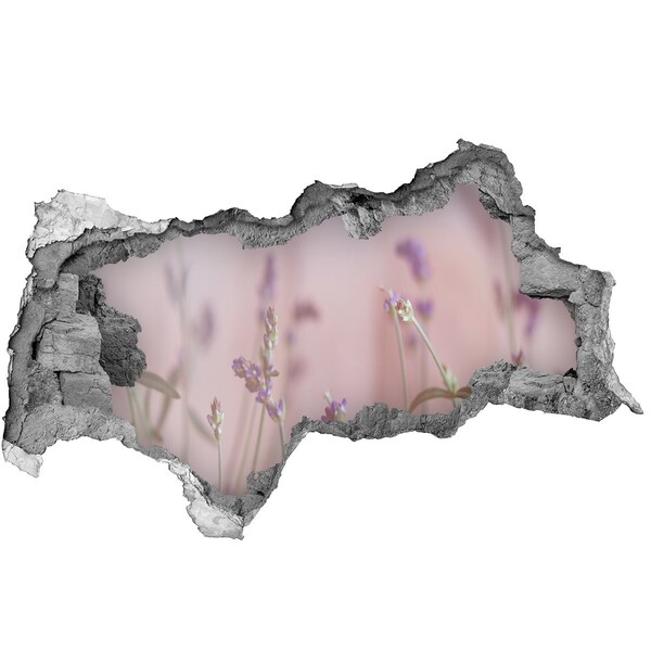 Sticker effetto rottura muro Prato fiorito dietro il muro