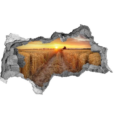 Sticker effetto rottura muro Tramonto dorato su un campo di grano