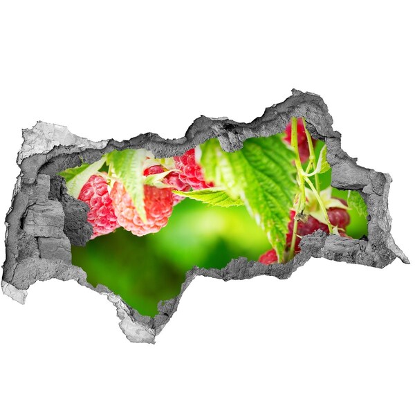 Sticker effetto rottura muro Lamponi in giardino