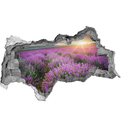 Decorazione da parete buco nel muro Campo di lavanda all'alba