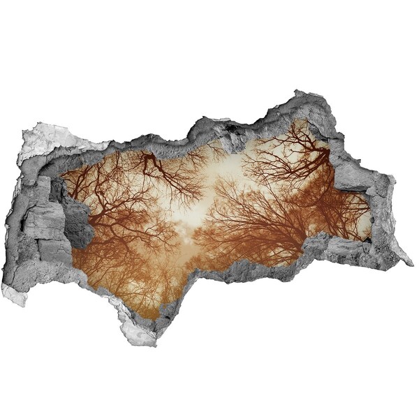 Sticker effetto rottura muro Riflesso degli alberi in un muro in rovina