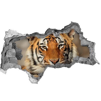 Decorazione da parete buco nel muro La tigre nel buco nel muro