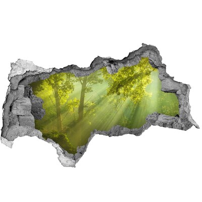 Sticker effetto rottura muro Foresta verde con raggi di sole