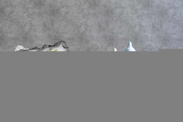 Sticker effetto rottura muro Un paradiso di fiori dietro il muro