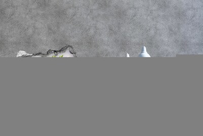 Sticker effetto rottura muro Un paradiso di fiori dietro il muro