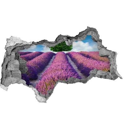 Decorazione da parete buco nel muro Campo di lavanda dietro il muro