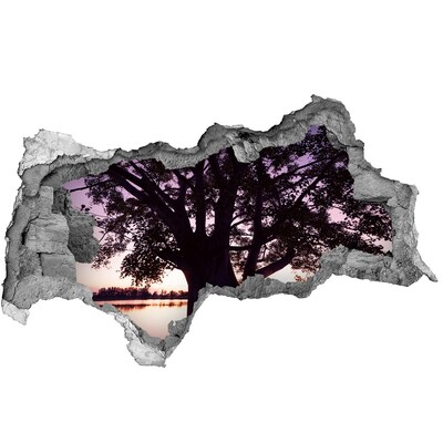 Sticker effetto rottura muro Tramonto dietro l'albero