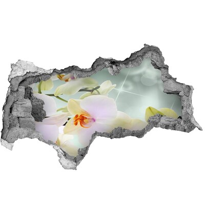 Sticker effetto rottura muro Fiori in cemento