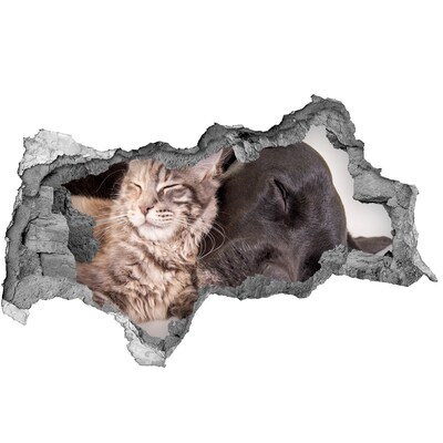 Adesivo con vista dietro il muro Un dolce momento di amicizia