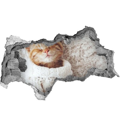 Adesivo con vista dietro il muro Gatto carino con un maglione