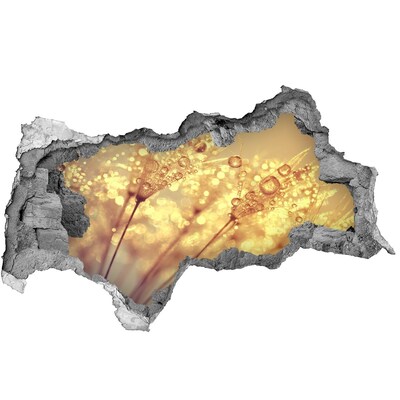 Decorazione da parete buco nel muro Prati dorati sotto la luce del sole