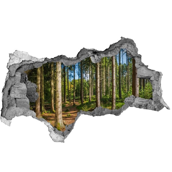 Decorazione da parete buco nel muro Un sentiero forestale immerso nella fitta vegetazione.