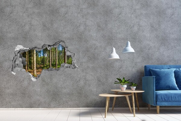 Decorazione da parete buco nel muro Un sentiero forestale immerso nella fitta vegetazione.