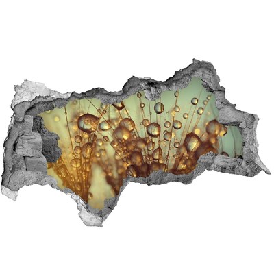 Adesivo con vista dietro il muro Gocce sui capelli delicati