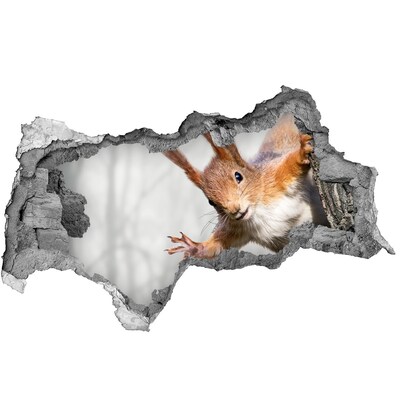 Adesivo con vista dietro il muro Scoiattolo in azione