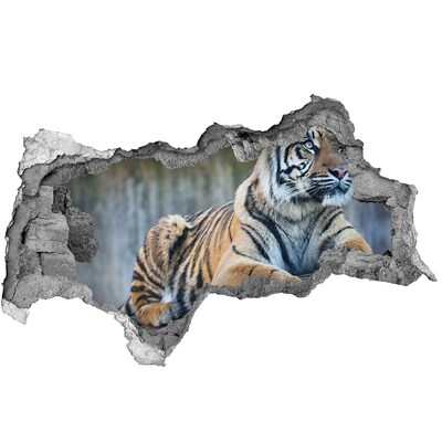 Sticker effetto rottura muro Tigre allo stato brado